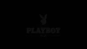 Playboy vidéo